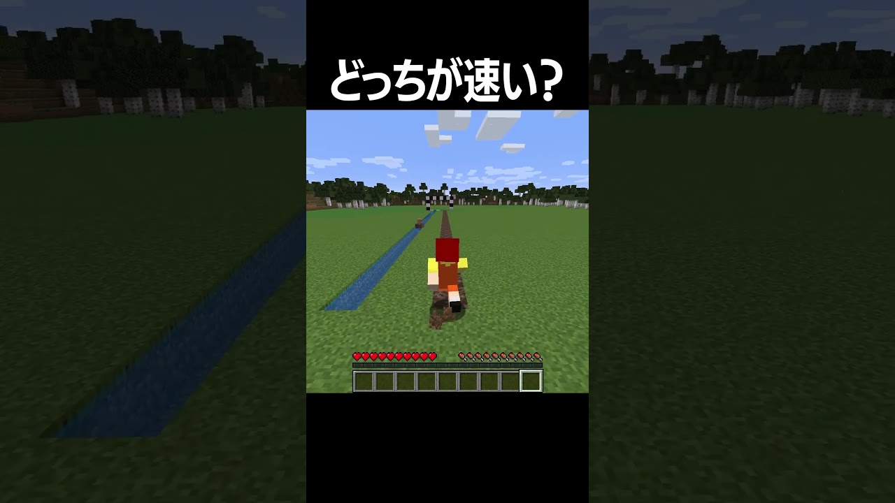 どっちが速い？#shorts  #minecraft