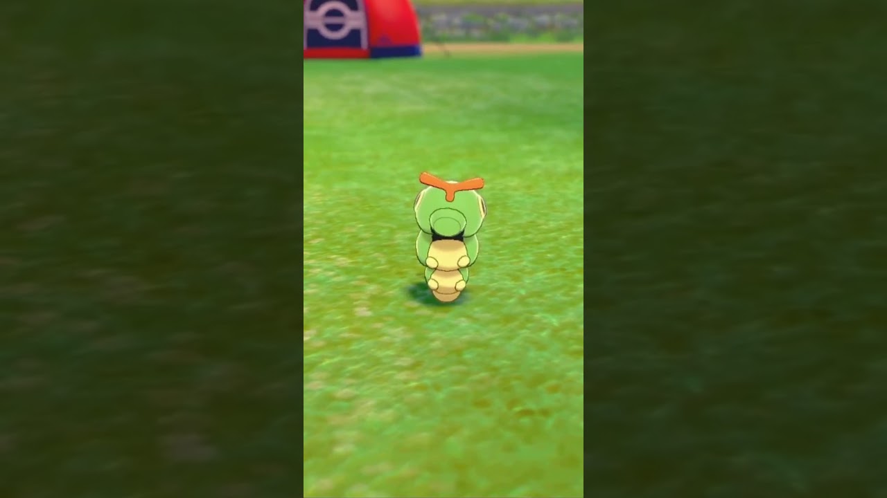 キャタピーを愛でるかい #ポケモン #キャタピー