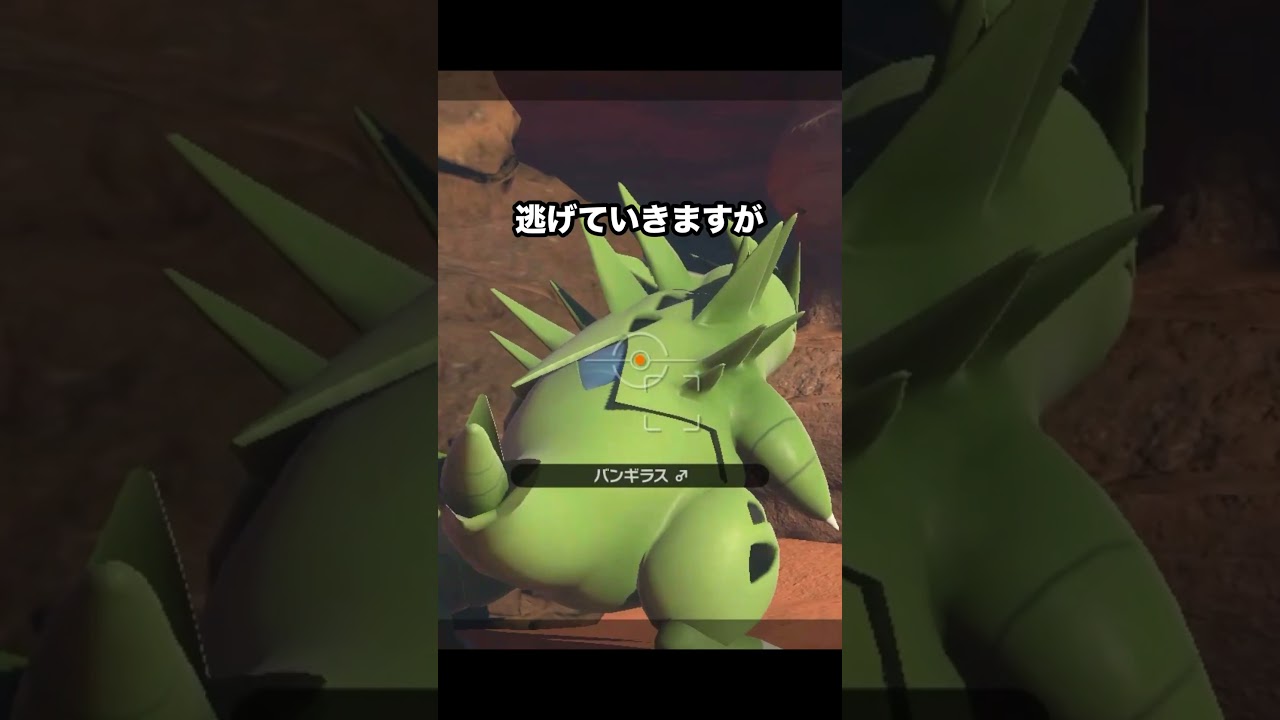 バンギラスvsルガルガン #ポケモン #newポケモンスナップ
