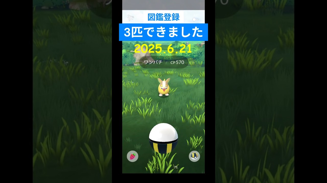【ポケモンGO】図鑑登録しました。#ワンパチ #ジャラコ #パルスワン