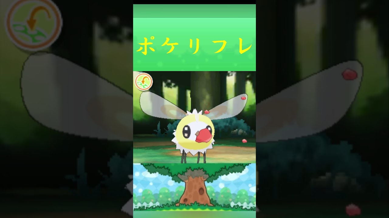 ポケモン アブリー ポケリフレ ポケパルレ #ポケモン #Pokemon  #3DS #ポケモン技 #ポケモンsv #ポケモン #ふれあい #キャンプ #カレー #サンドイッチ #ピクニック