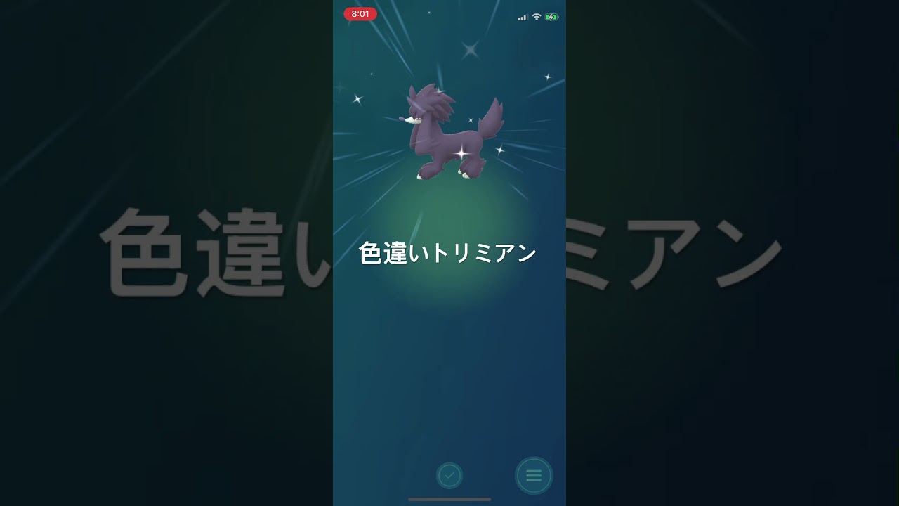 ポケモンGO 色違いトリミアン出現！ #pokémon #ポケモン #ポケモンgo #pokemongo