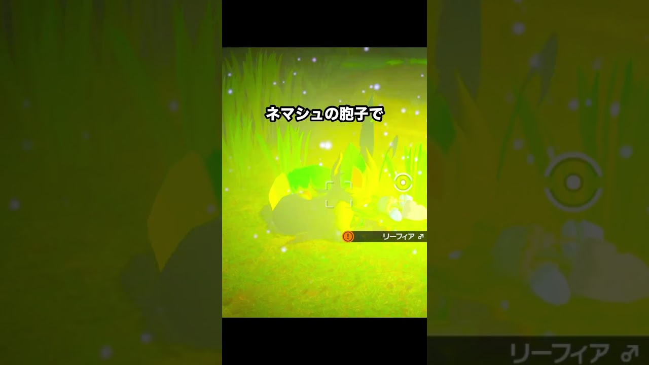 はしゃぎすぎたリーフィアの末路　#newポケモンスナップ #ポケモン