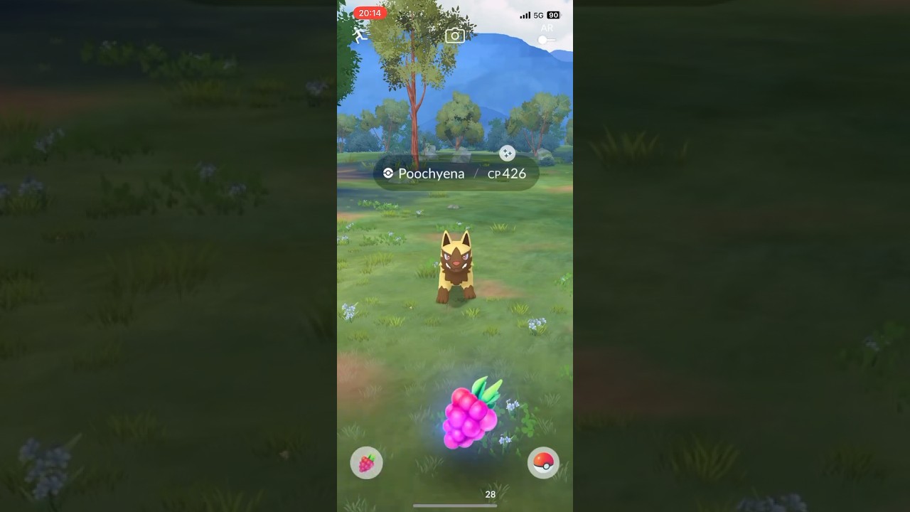 Pokémon go | Catching a Shiny Poochyena ⭐️ #pokemongo #pokemon #shinypokemon #shiny #pokémon