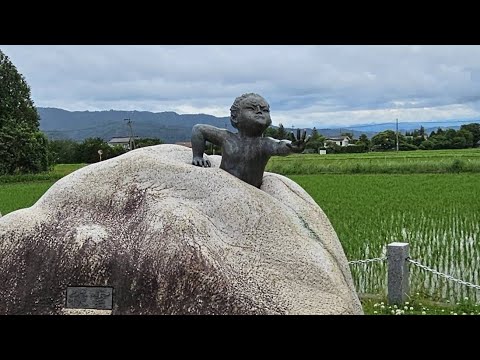 ゼニガメをカメールに