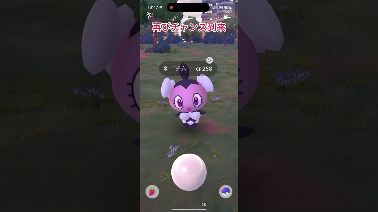 【難易度低】色違いゴチム図鑑登録！極小サークルクリティカルゲット【ポケモンGO】