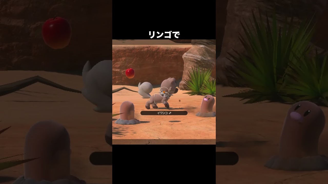 天才なディグダと喜ぶイワンコ　#ポケモン #newポケモンスナップ
