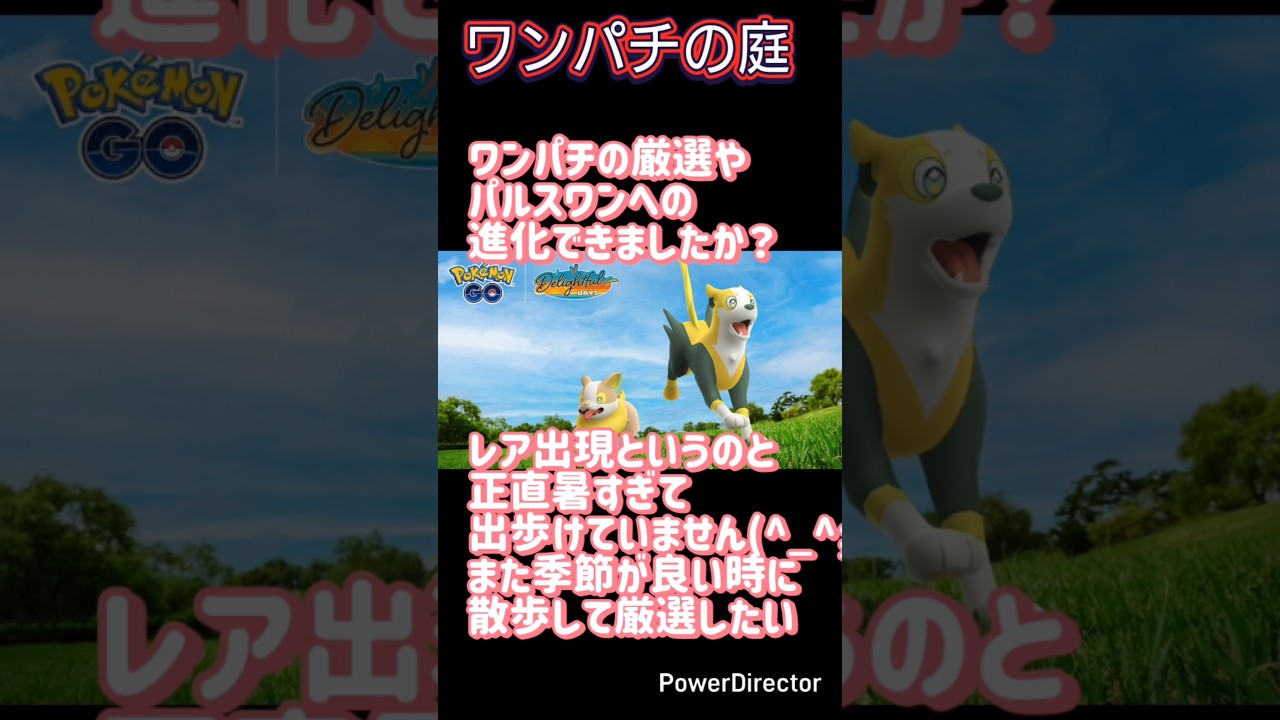 ワンパチの庭イベントお疲れ様でした！図鑑登録、パルスワンへの進化できましたか？#ポケモンgo #ワンパチ #パルスワン