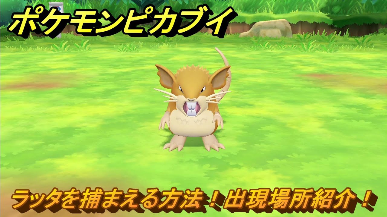 ポケモンピカブイ　ラッタを捕まえる方法！出現場所紹介！図鑑コンプへの道！　【ポケットモンスター Let's Go! ピカチュウ・イーブイ】