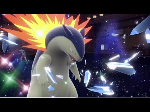 【Switch2】ジョウトのポケモンとイッシュのポケモンで戦ってみた😁シングルその１