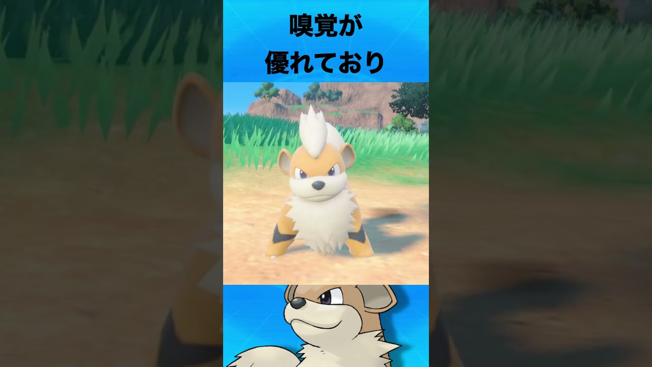 ガーディについて #ポケモン #ガーディ