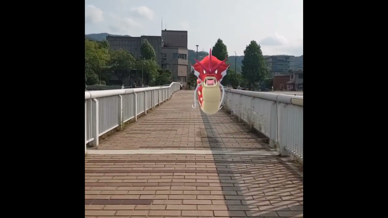 갸라도스 ( Gyarados ) ギャラドス ( 暴鯉龍 )