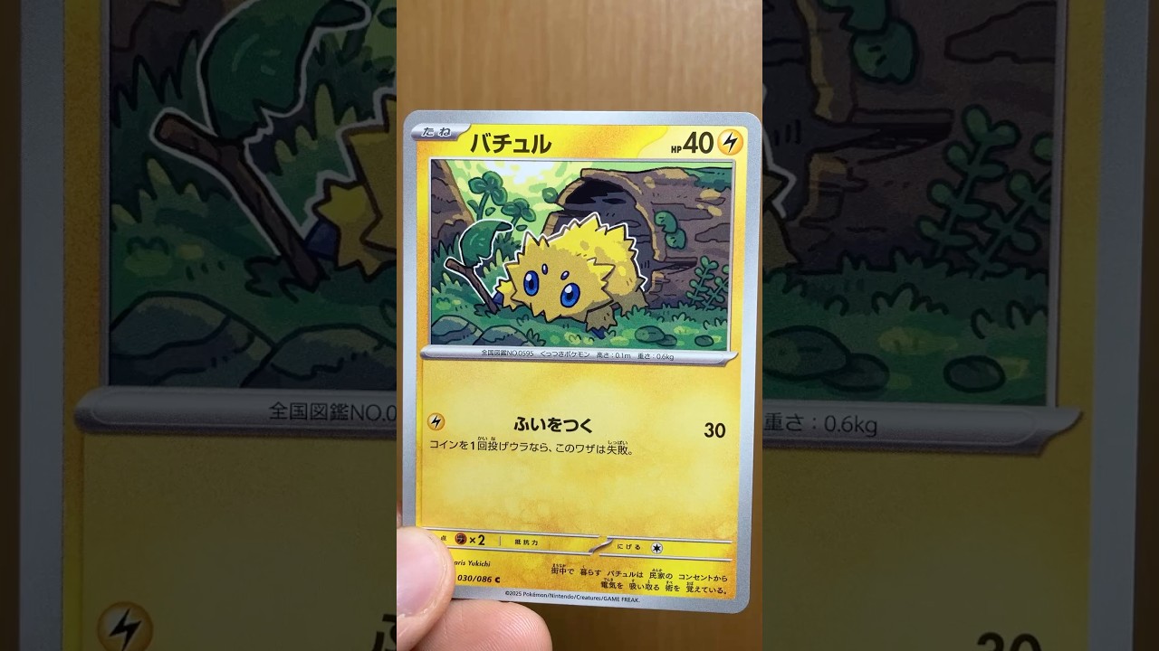 バチュルのカードを紹介 #ホワイトフレア #ポケカ