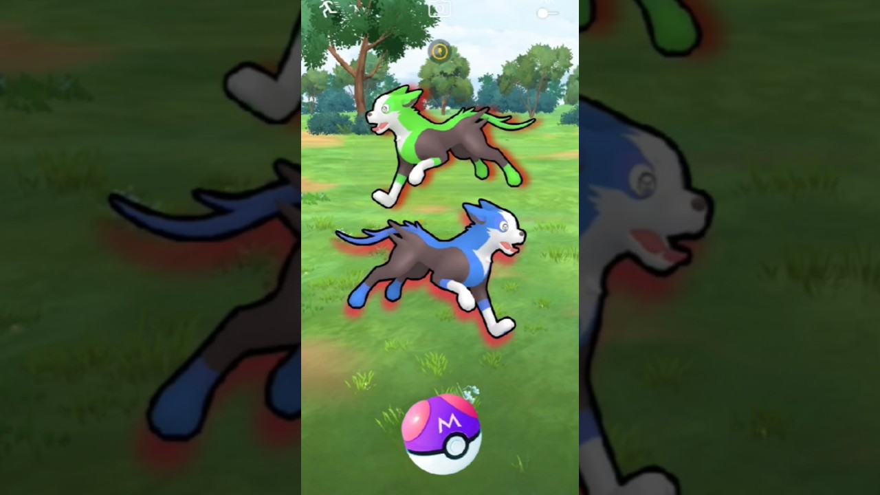 Finally Got Boltund In The Dex         #pokemonyt#pokemongo#english#pokedex#khowalking