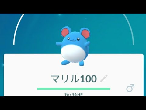 マリル100％
