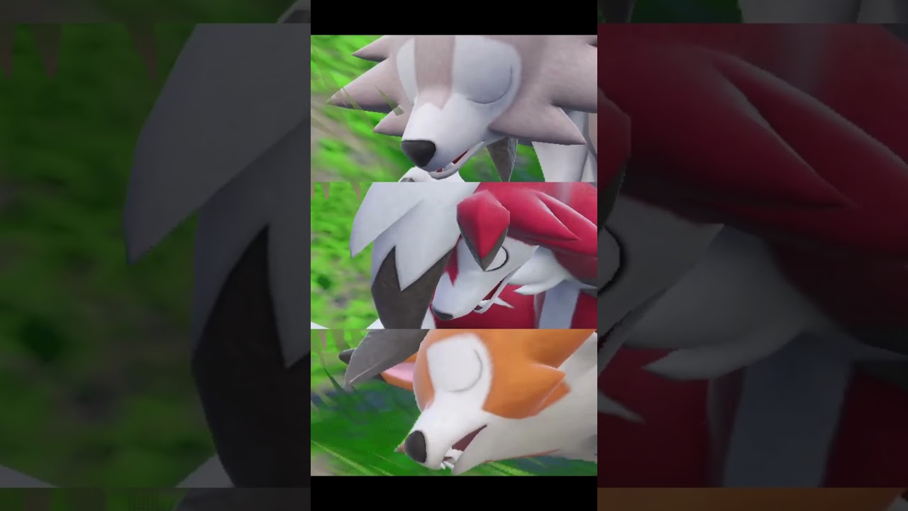 ルガルガンの寝顔　#Shorts