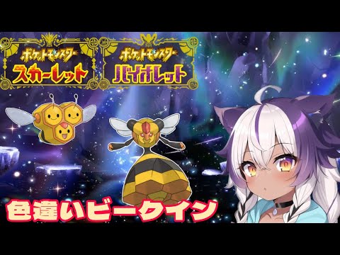 【ポケモンSV】色違いミツハニー → ビークイン【ポケットモンスタースカーレットバイオレット】