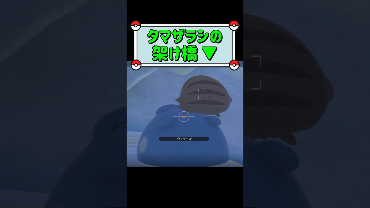 「タマザラシの架け橋 ▼」　#ポケモンスナップ　#ポケモン　#shorts