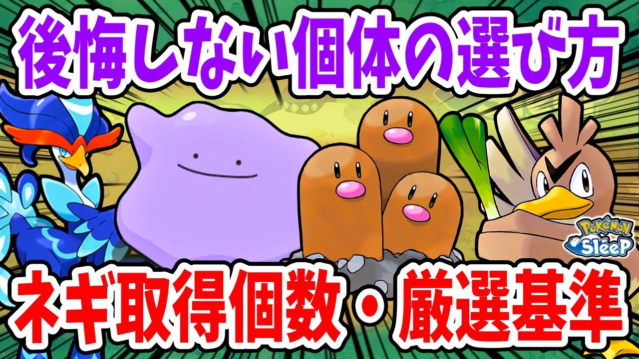 カモネギのヤバすぎる性能を徹底解説＆ネギ取得個数徹底比較！【ポケモンスリープ】