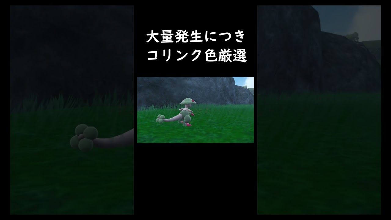 コリンクが大量発生していたので今日も今日とて色厳選【ポケットモンスタースカーレット】　#Shorts #ポケモン