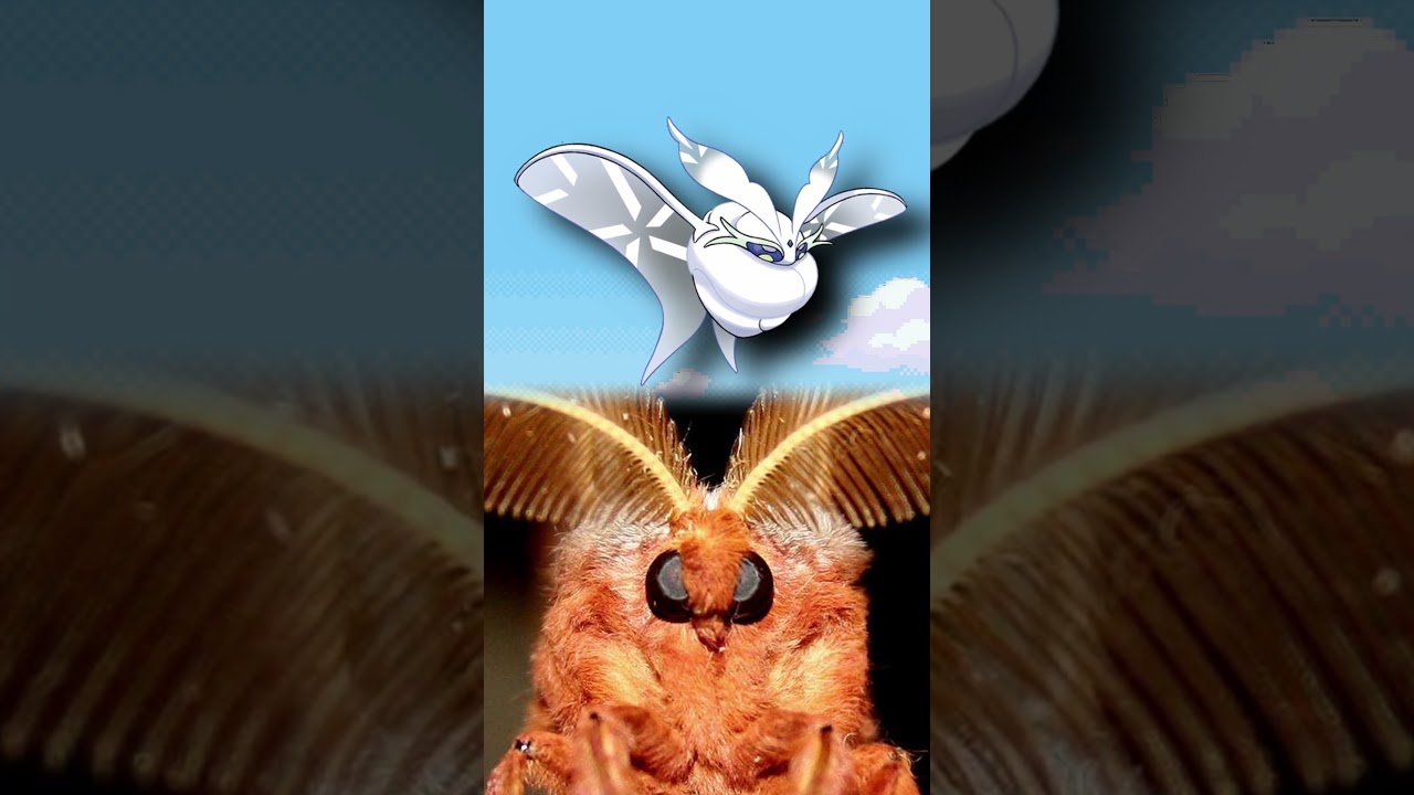 WTF is Frosmoth?| EVERY Pokémon Design Explained #pokemon #pokemoncards  #shorts