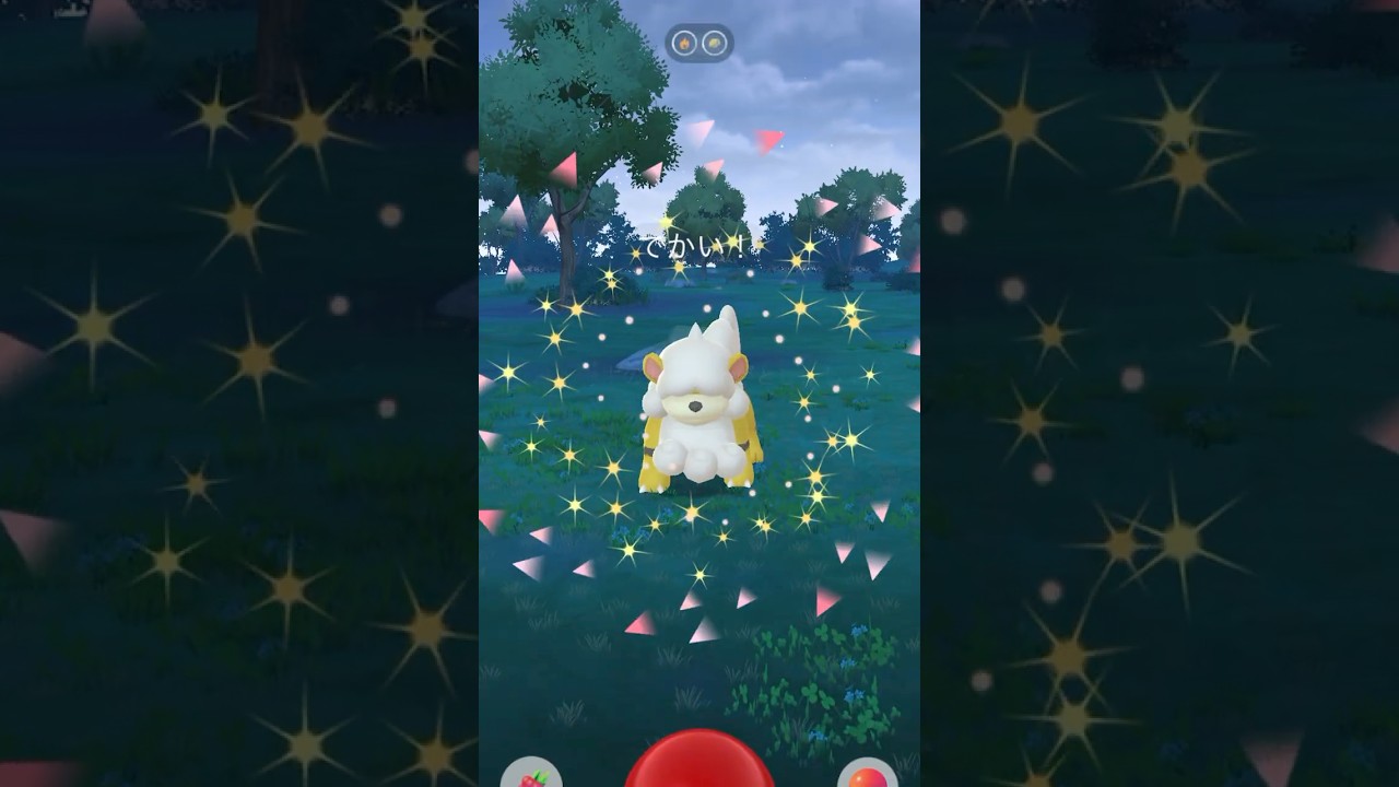 [PokemonGO] 犬イベント でかいヒスイガーディ色違い #ポケモンgo