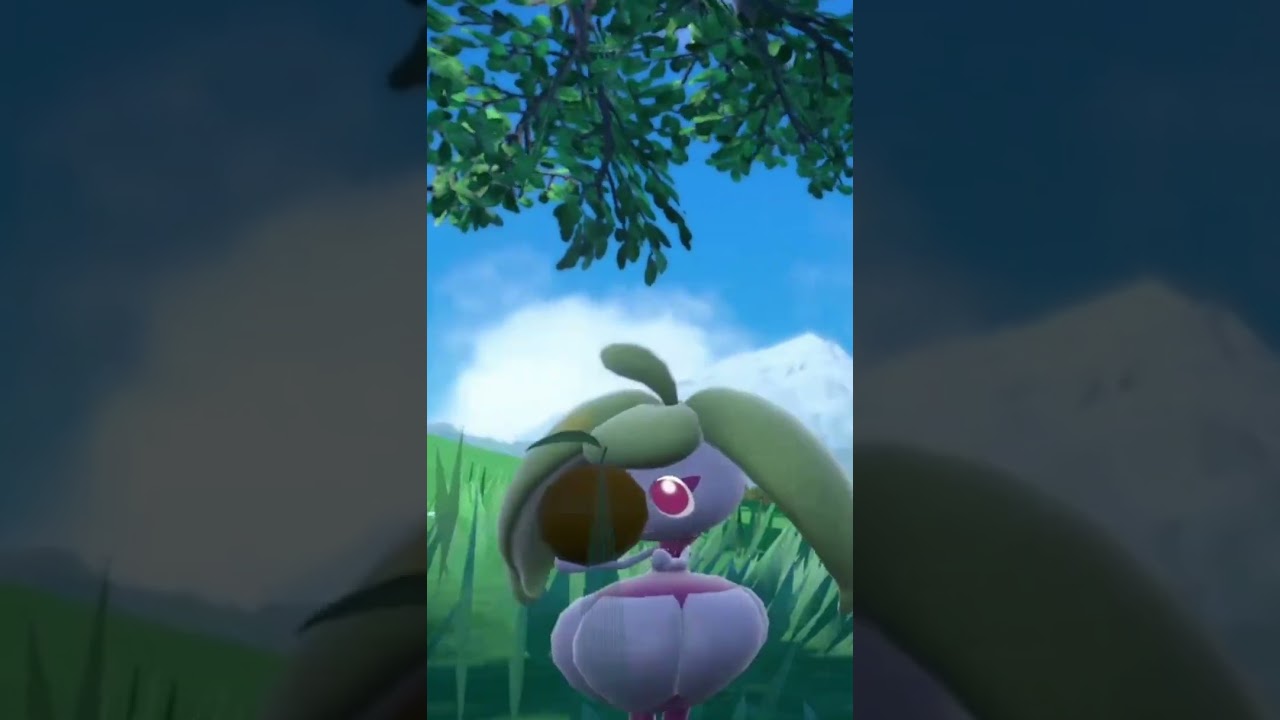 一心不乱 に木の実を食べる アママイコ #shorts #ポケモンsv #碧の仮面 #碧の円盤