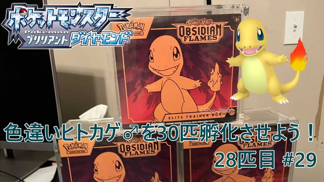 【ポケモンBDSP】色違いヒトカゲ♂を30匹孵化させよう！【色違い】 28匹目 #29