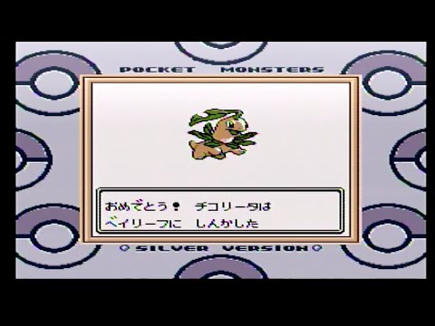 チコリータがベイリーフに進化しました！p９＜ポケモン金銀＞