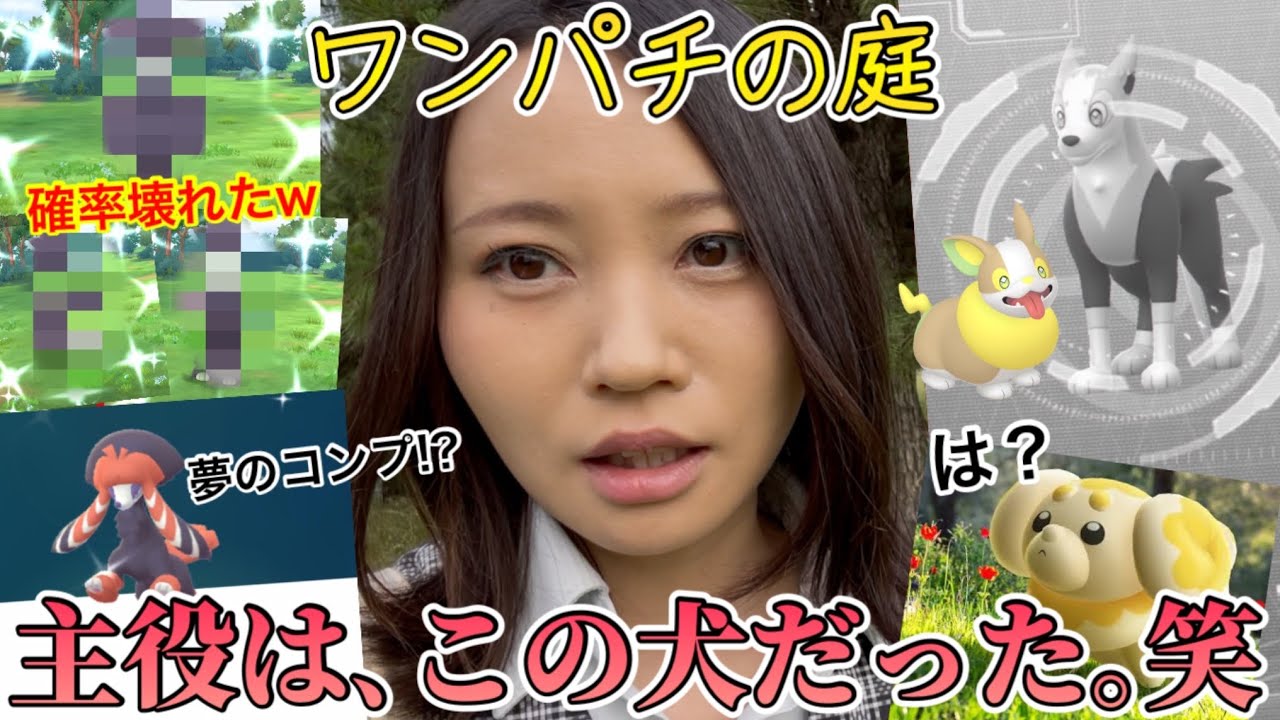 結論、この犬が主役です。ワンパチの庭、初日でぶっ飛ぶw【ポケモンGO】