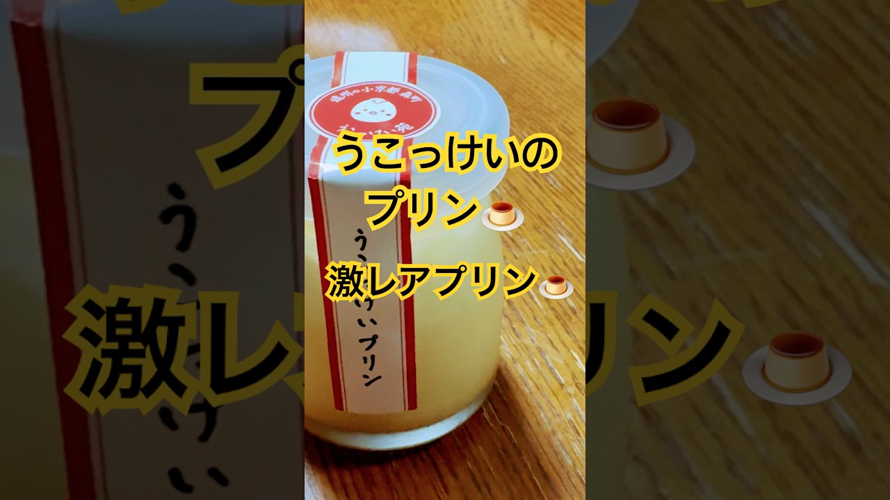 うこっけいの激レアプリン🍮いただきました😋最高のプリン👍
