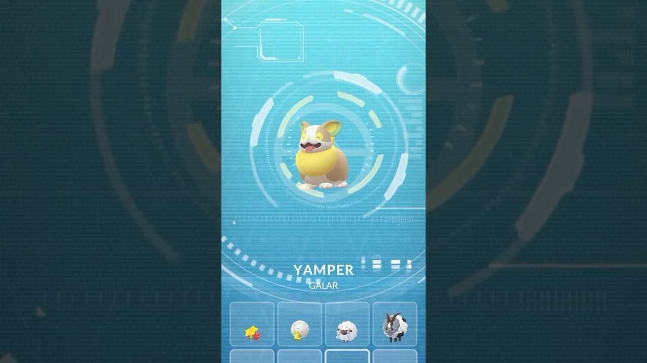 Yamper and Boltund! #pokemongo #pokedexentry #yamper #shorts #fyp