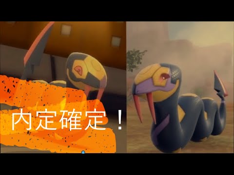【ポケモンBDSP】ポケモンSVにハブネークが内定確定しているのでハブネークを使います。