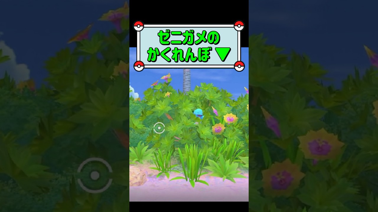 「ゼニガメのかくれんぼ ▼」　#ポケモンスナップ　#ポケモン　#shorts