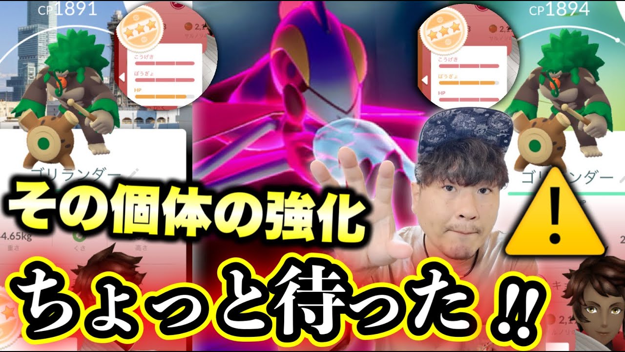 これ重要！みんな間違ってない？！巨大インテレオン対策！！！