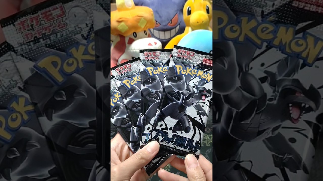 新弾【ポケカ】ブラックボルト4パック開封😎#ポケカ #ブラックボルト#ゼクロム #パック開封