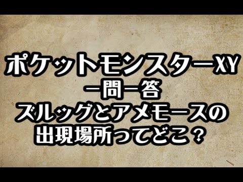 ポケモンXY　ズルッグとアメモースの 出現場所　　攻略　裏技　ポケットモンスターXY