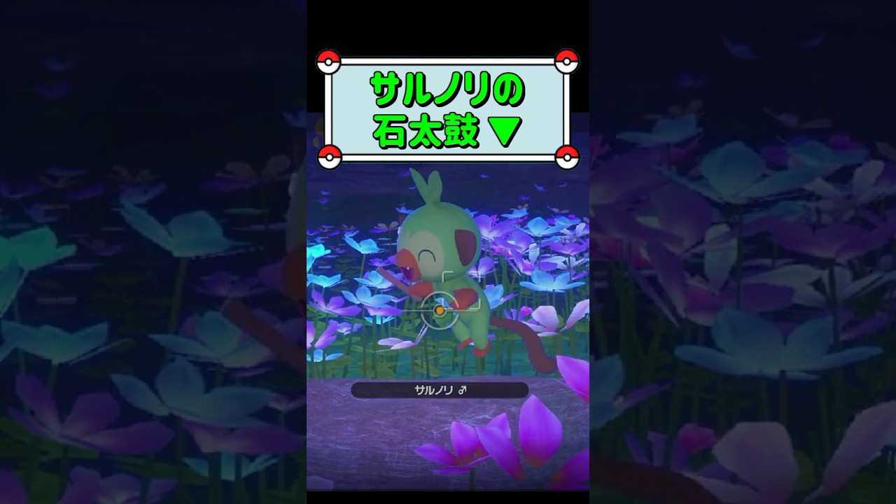 「サルノリの石太鼓 ▼」　#ポケモンスナップ　#ポケモン　#shorts