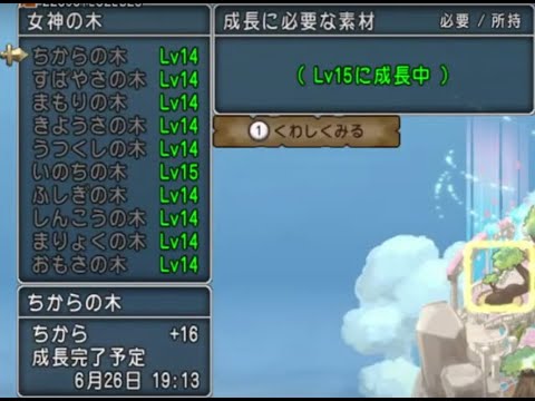 【ドラクエ10】ポリゴンのライブ配信#077（パニガルムフィーバー）
