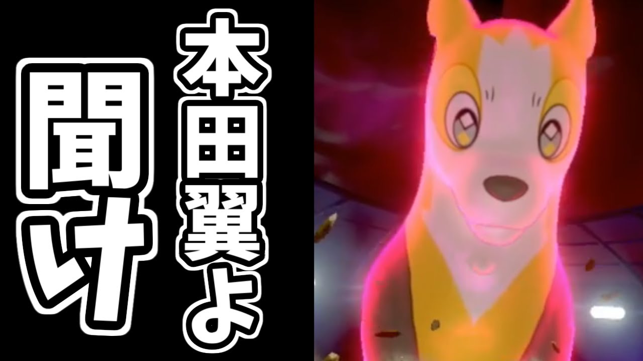 【ポケモン剣盾】本田翼よ　聞け。【パルスワン怒りの一撃】
