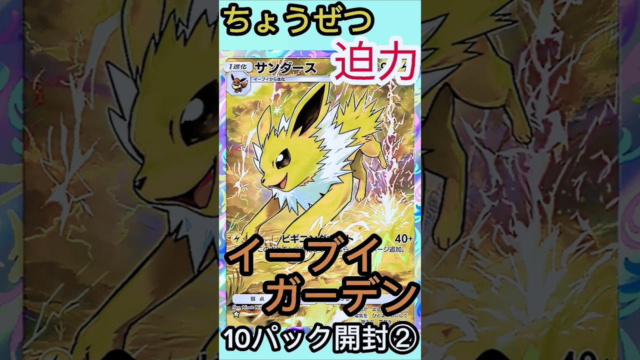 緊急！超速！！ポケポケ イーブイガーデン 10パック開封 No.02 サンダース