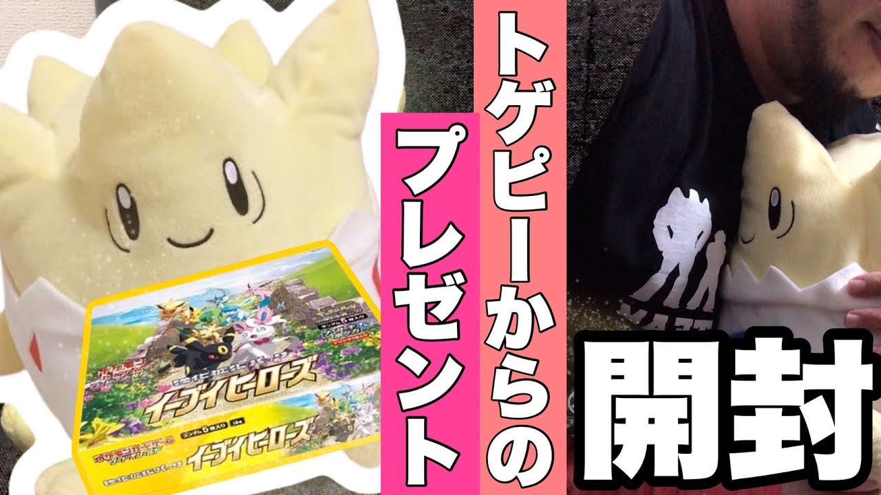 【開封動画】家に帰ると愛するトゲピーがイーブイヒーローズを持って待っていました【ポケカ】