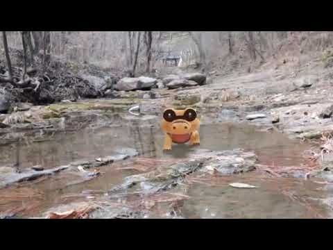 깜눈크 ( Sandile ) メグロコ ( 黑眼鱷 ) (16:9)