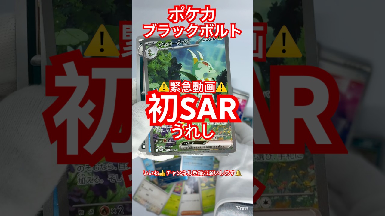 【#ポケモンカード 】SARではしゃぐ #pokemon  #pokemoncards  #pokemontcg #ブラックボルト #SAR #ポケカ開封 #ポケカ