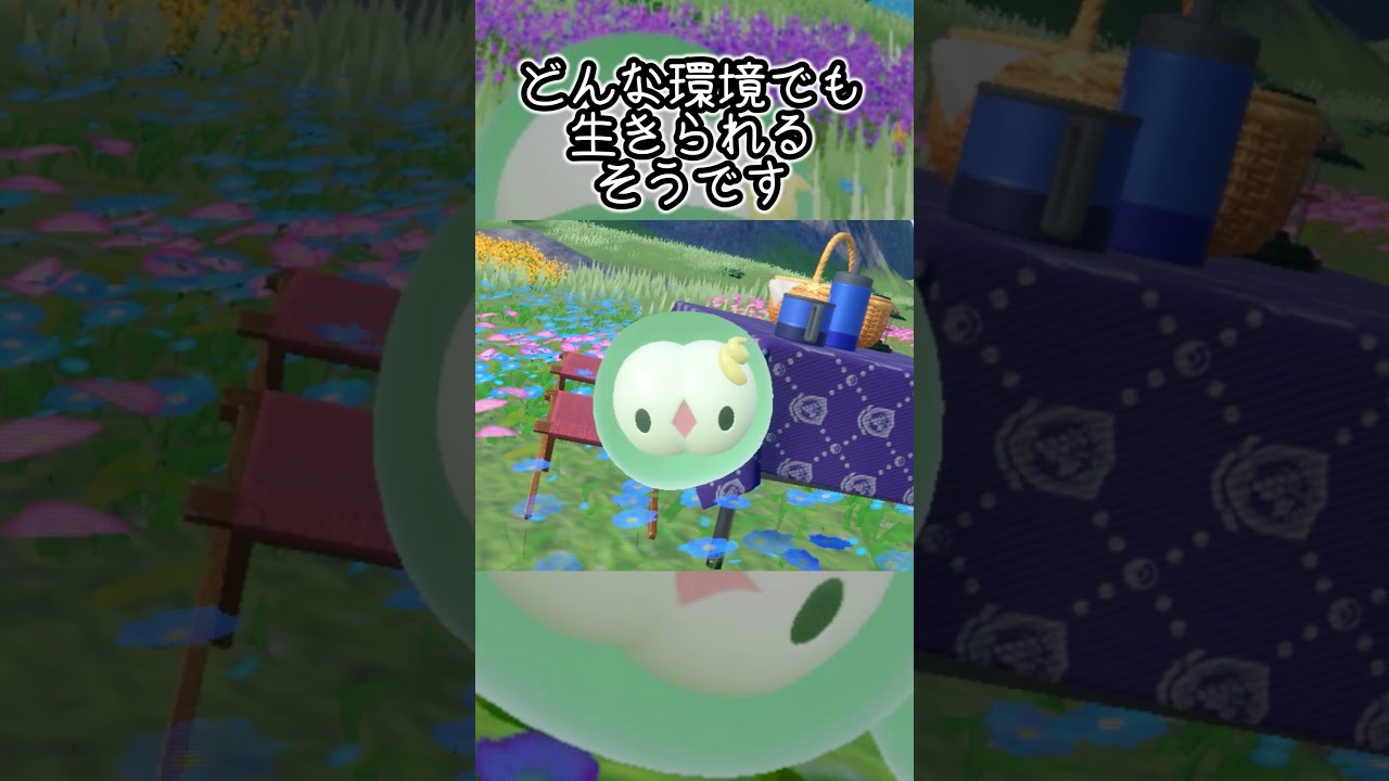 ユニラン6匹とピクニック【ポケモンSV】#Shorts