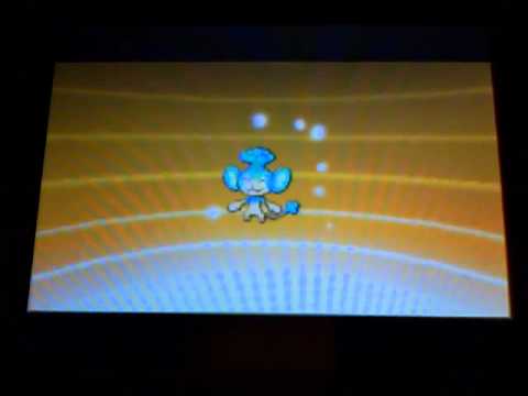 Pokemon Black and White - Evolving Panpour into Simipour (The Water Monkey Pokemon)