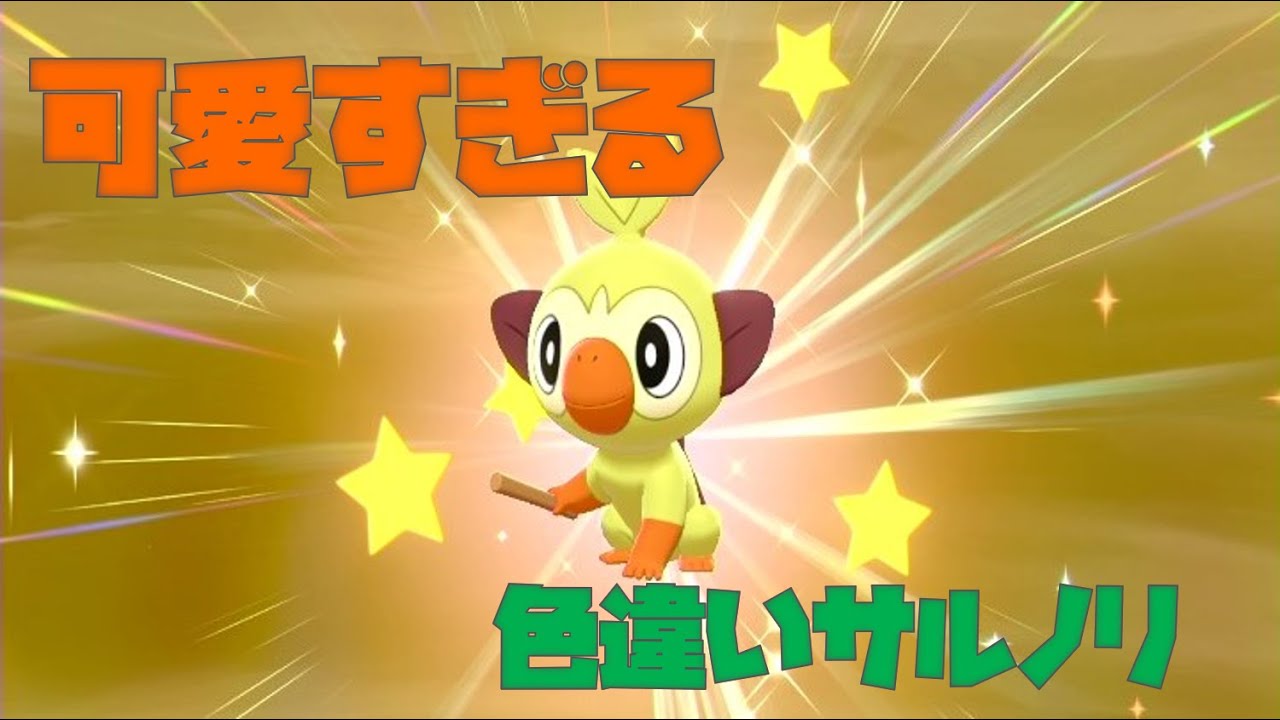 【ポケモン剣盾】色違いサルノリが可愛すぎる件について