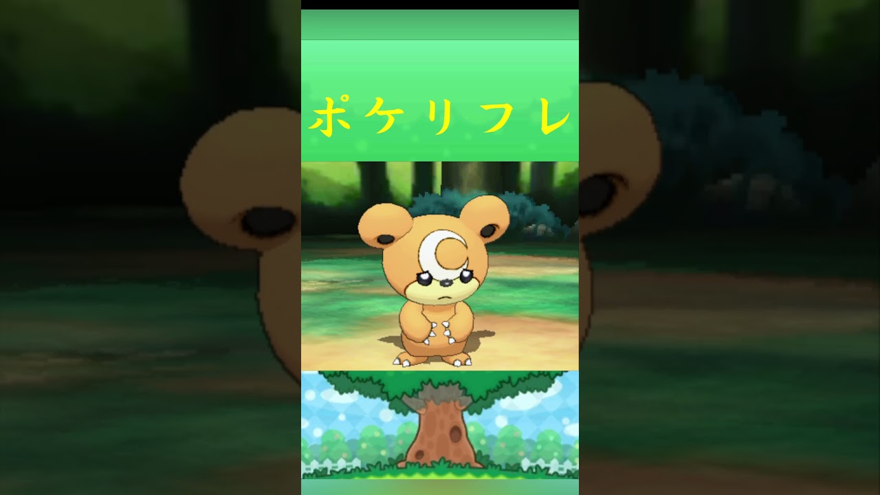 ポケモン ヒメグマ ポケリフレ ポケパルレ #ポケモン #Pokemon  #3DS #ポケモン技 #ポケモンsv #ポケモン #ふれあい