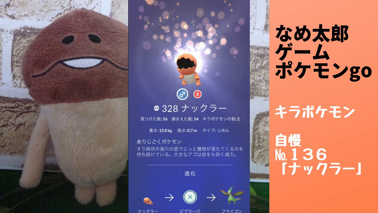 なめ太郎のキラポケモン自慢コーナーナンバー１３６、「ナックラー」【ポケモンgo】