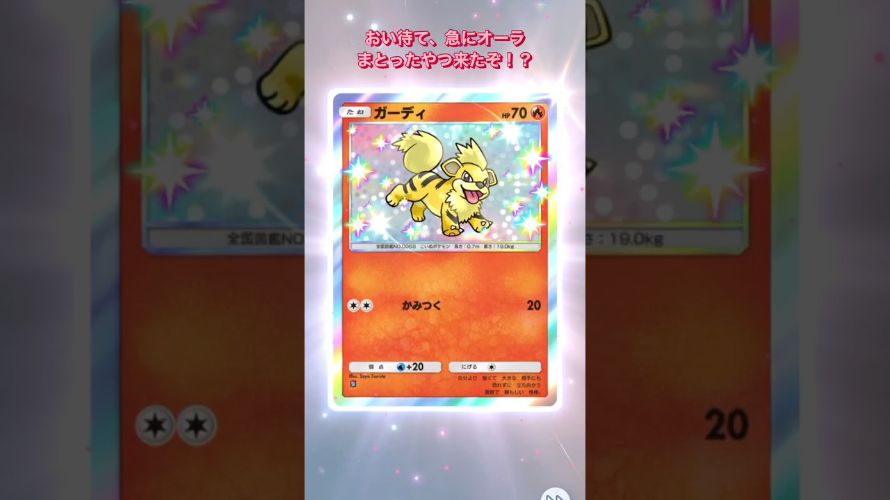 【激レア混入】色違いガーディが空気読めてないww #ポケポケ #pokemon  #shorts